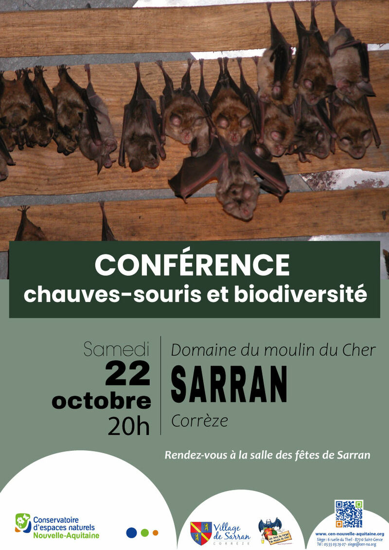 Chauves-souris et biodiversité