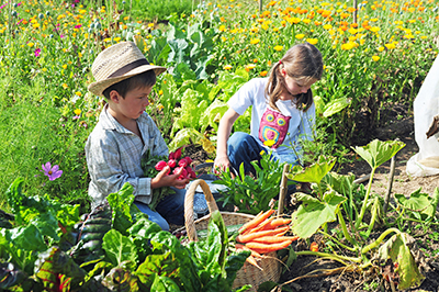 jardin pédagogique légumes permaculture