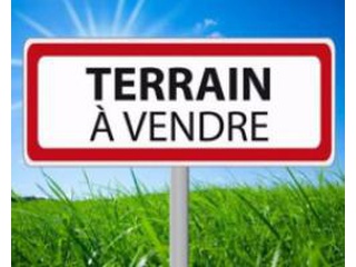 Terrain viabilisé 12 €m2